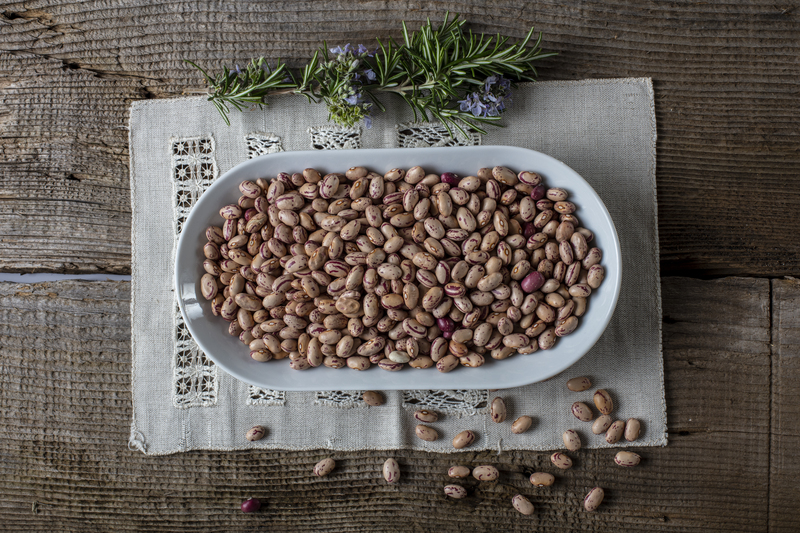 Sicilian dried beans