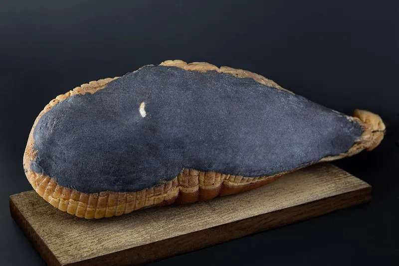 Culatello con cotenna di suino nero dei Nebrodi