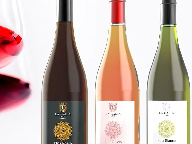 Box Degustazione Vini Etna DOC Biologici La Galia