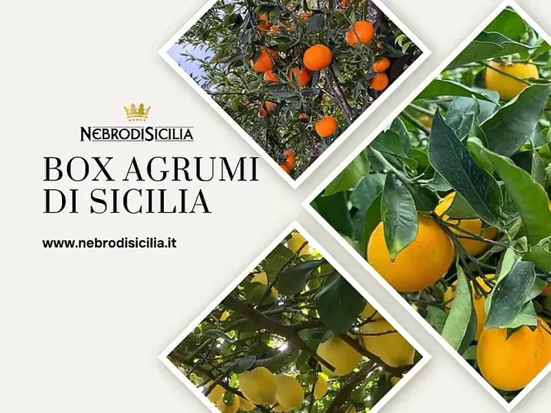 Box Agrumi di Sicilia