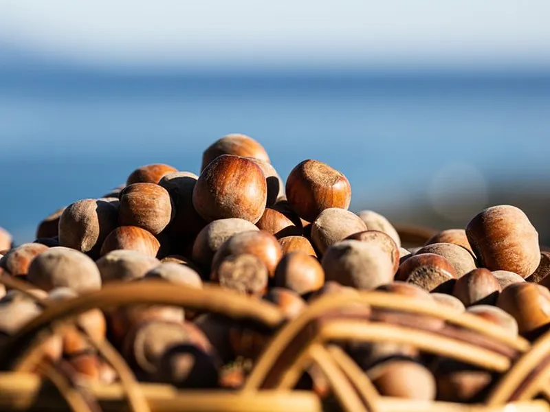 Nocciole