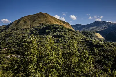 © Antonino Bartuccio 2019